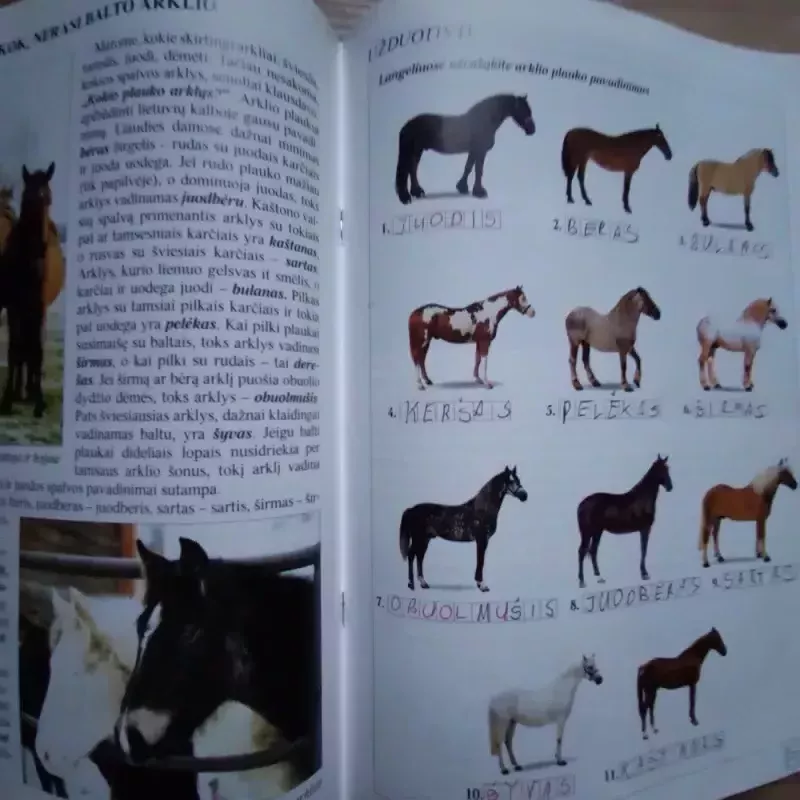 Težvengia žirgeliai - Egidijus Musteikis, knyga 3