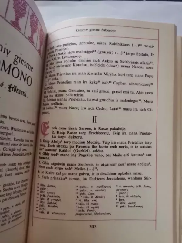 Rinktiniai raštai - J. Bretkūnas, knyga 6