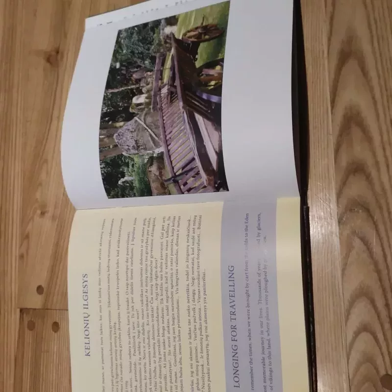 Amžinybės portretai. Daktaro Vaclovo Into pasaulis - A.Dorongauskas, E.Untulis, knyga 5