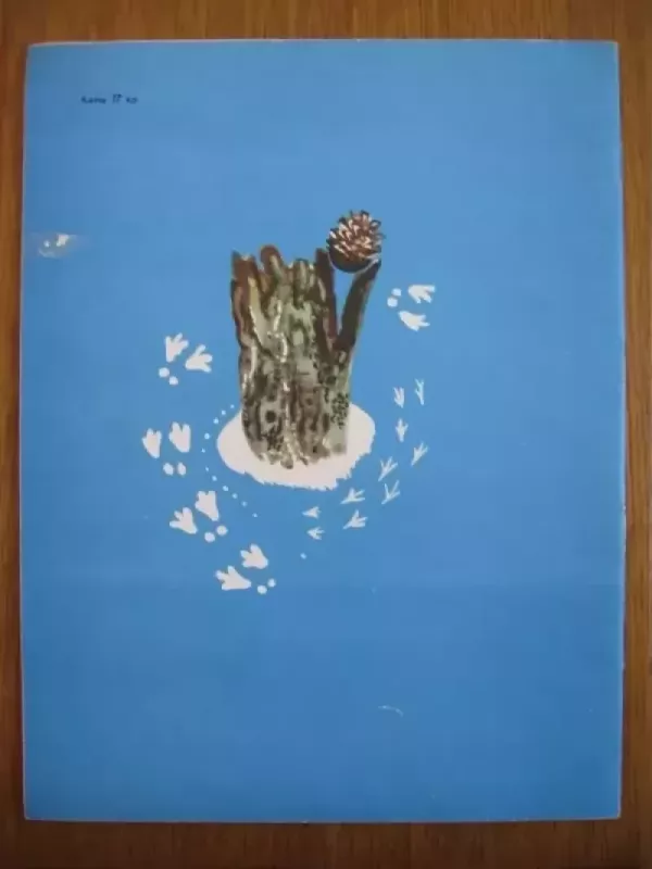 Pušies kankorėžio nuotykiai - V.Braginas, knyga 4