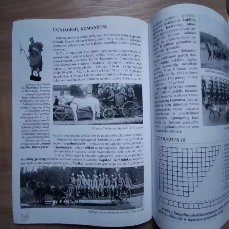 Težvengia žirgeliai - Egidijus Musteikis, knyga 6