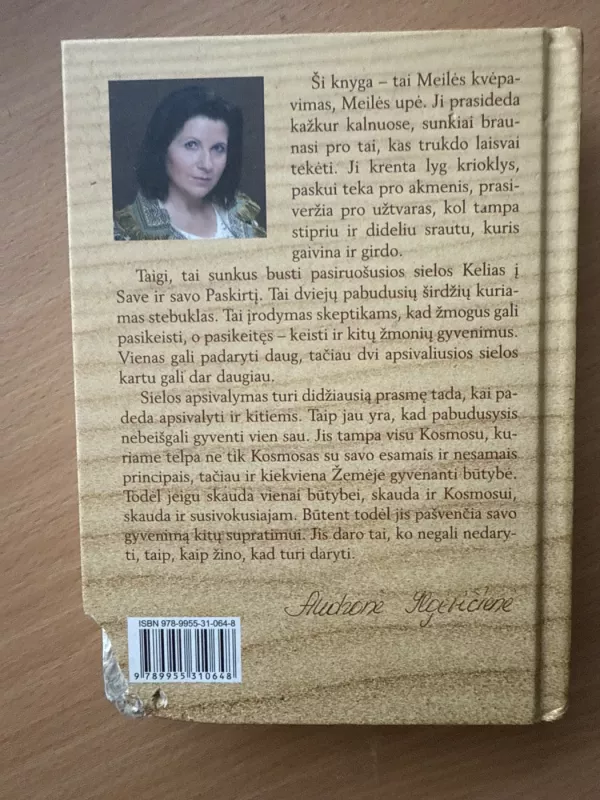 Menas mylėti - Audronė Ilgevičienė, knyga 2