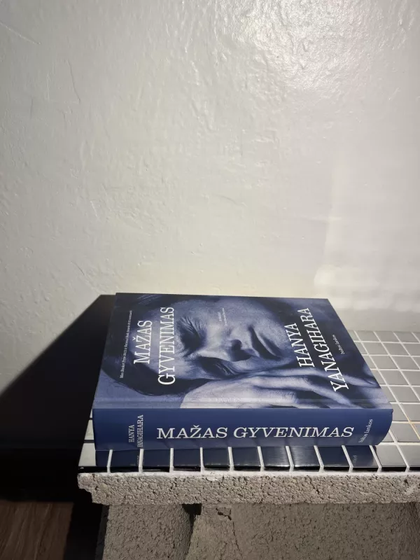 Mažas gyvenimas - Hanya Yanagihara, knyga 3