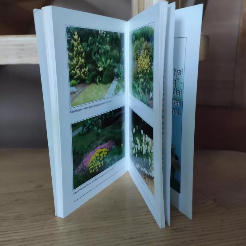 Gėlių karalystėje - Janina Vaidelienė, Jonas  Vaidelys, knyga 6