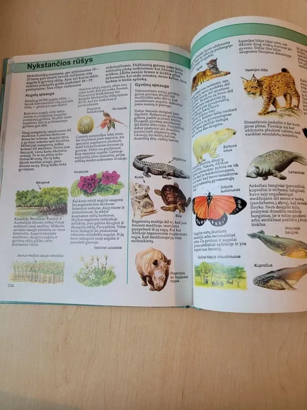 Trys knygos vaikams: Geografijos enciklopedija, Gamtos enciklopedija, Mokslo enciklopedija - Karolis Varlis ir Liza Mails; Leslie Colvin ir Emma Speare; Annabel Craig ir Cliff Rosney, knyga 5