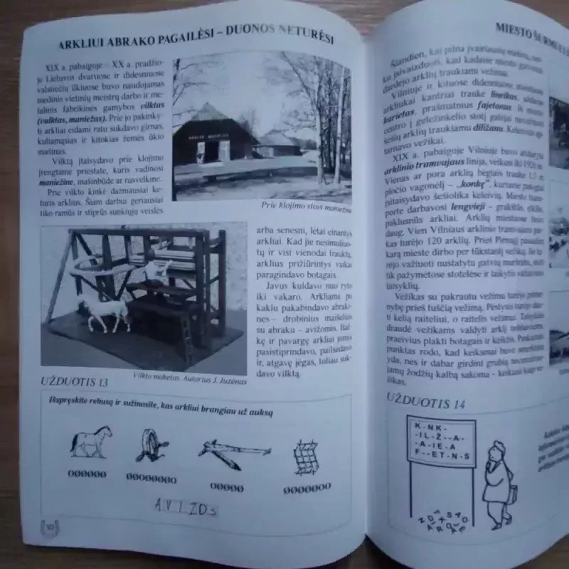 Težvengia žirgeliai - Egidijus Musteikis, knyga 5