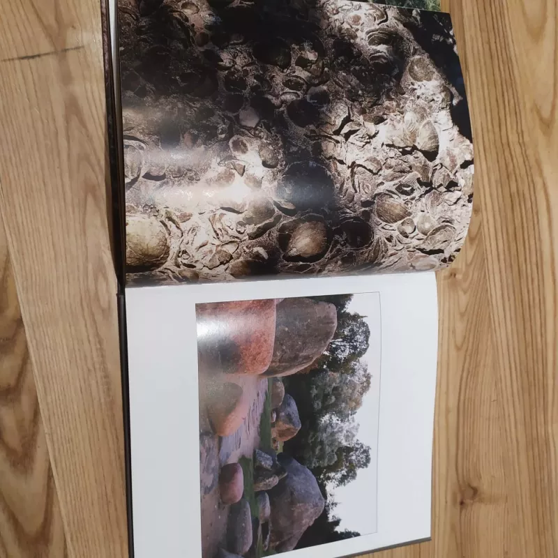 Amžinybės portretai. Daktaro Vaclovo Into pasaulis - A.Dorongauskas, E.Untulis, knyga 3