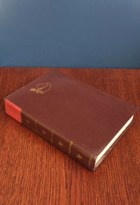 Sodybų tuštėjimo metas - Jonas Avyžius, knyga 5