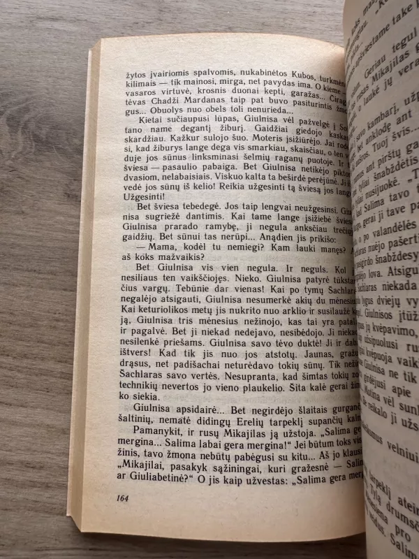 Meilė už septynių kalnų. Arykas po gluosniais - Iljasas Efendijevas, knyga 4