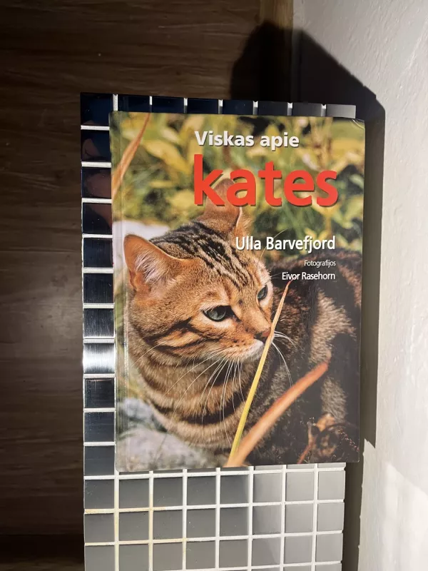 Viskas apie kates - Ulla Barvefjord, knyga 3