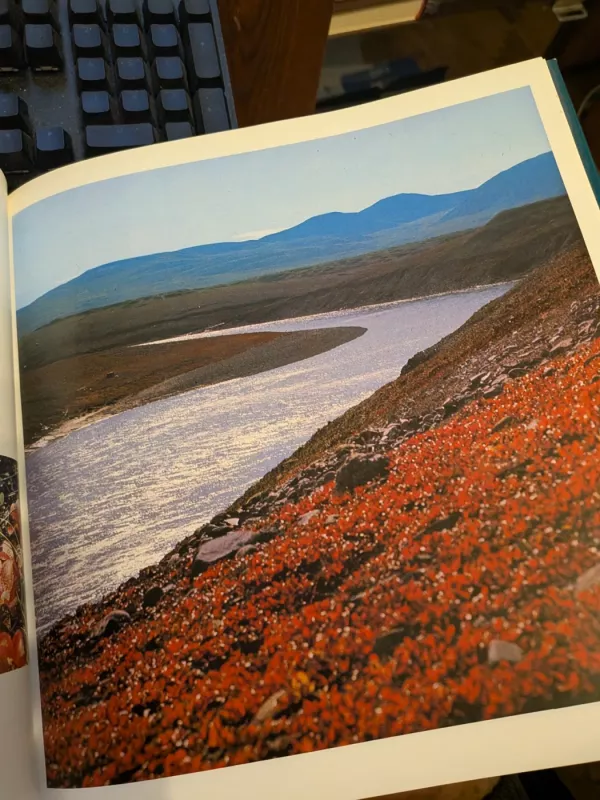 Visokie paraleli - B. Cholopova, knyga 4