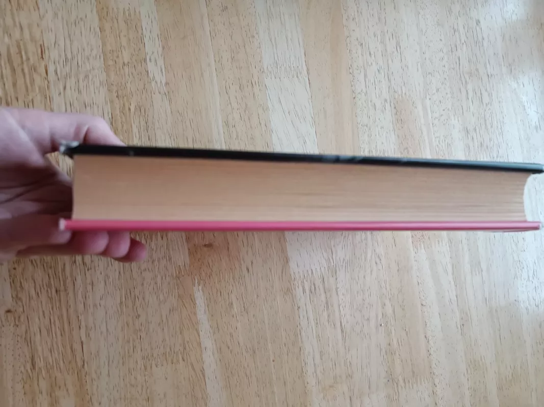 Dešimtasis ratas - Jodi Picoult, knyga 4