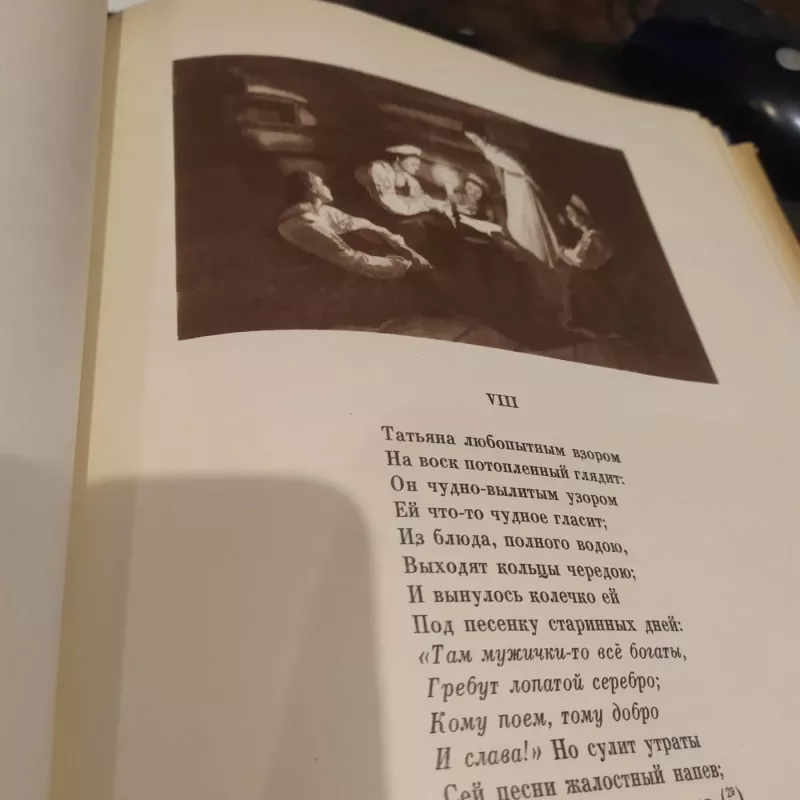 Evgenij Onegin - A. Puškinas, knyga 4