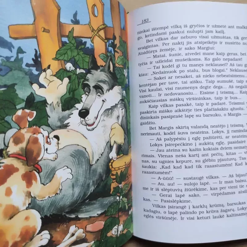 Linksmosios lietuvių pasakos - Autorių Kolektyvas, knyga 4