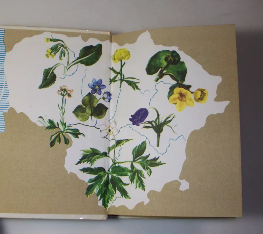 Pavasarį žydintys augalai - Živilė Lazdauskaitė, knyga 4