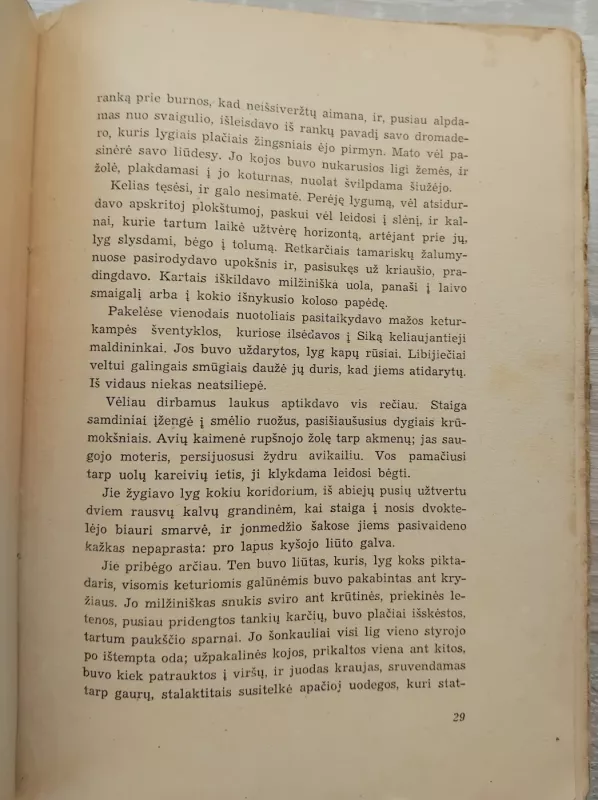 SALAMBO - Gustave Flaubert, knyga 4