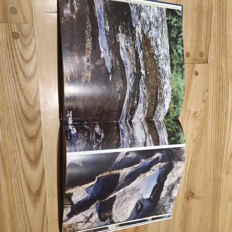 Amžinybės portretai. Daktaro Vaclovo Into pasaulis - A.Dorongauskas, E.Untulis, knyga 6