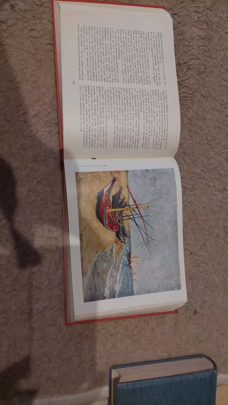 Van Gogas. Laiškai - Van Gogas, knyga 4