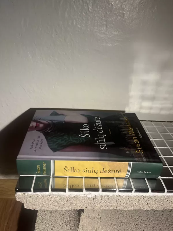 Šilko siūlų dėžutė - Susan Meissner, knyga 3