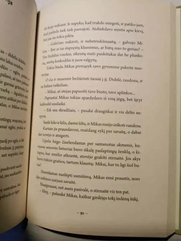 Jotvingių giesmės - Vytautas Landsbergis, knyga 5