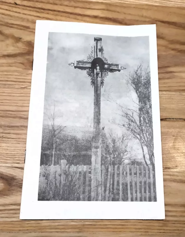 PARTIZANŲ POEZIJA / Dainos, natos - Živilė Ramoškaitė, knyga 2