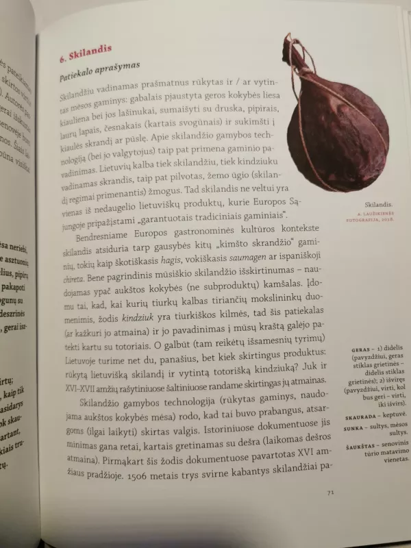 Lietuvos gaspadinė, arba Pamokinimai, kaip prigulinčiai suvartoti Dievo dovanas - Liudvika Didžiulienė-Žmona, knyga 5