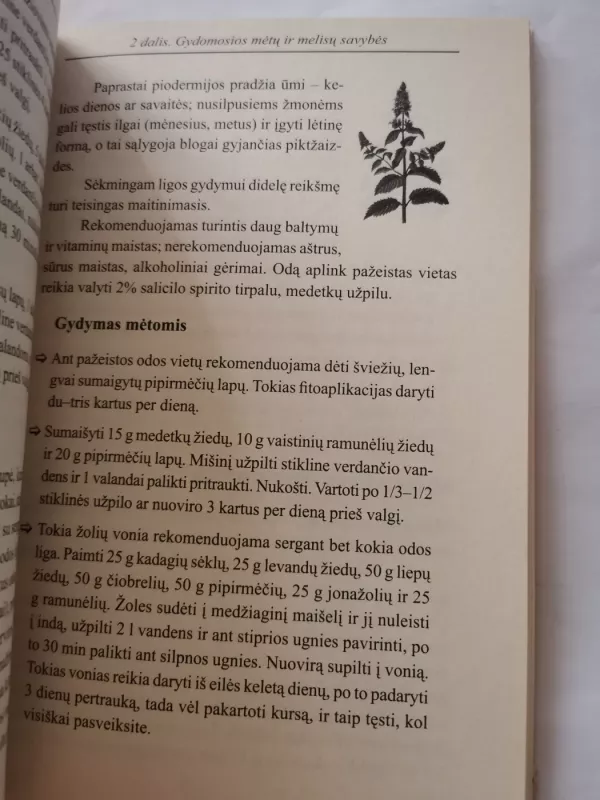 Mėtos ir melisos nuo 100 ligų - Marija Milaš, knyga 5