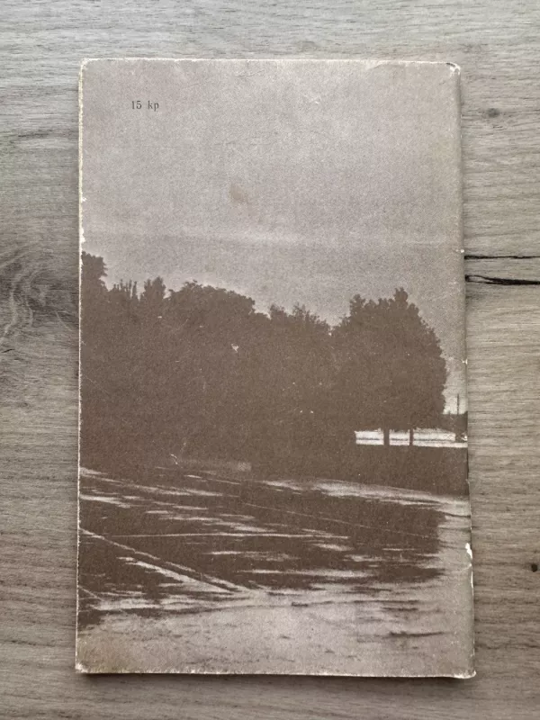 Baltosios naktys - Fiodoras Dostojevskis, knyga 6