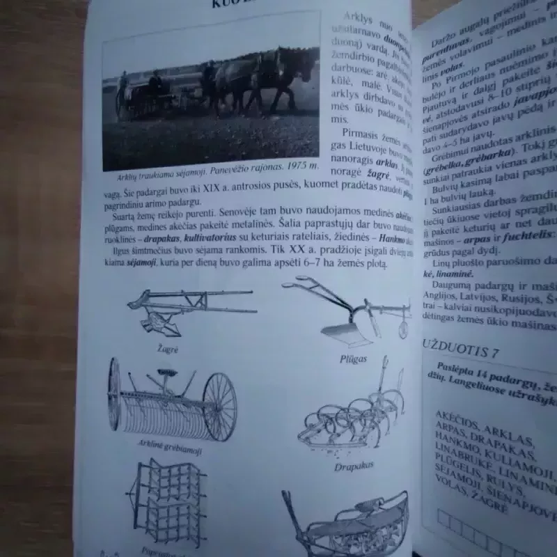 Težvengia žirgeliai - Egidijus Musteikis, knyga 4