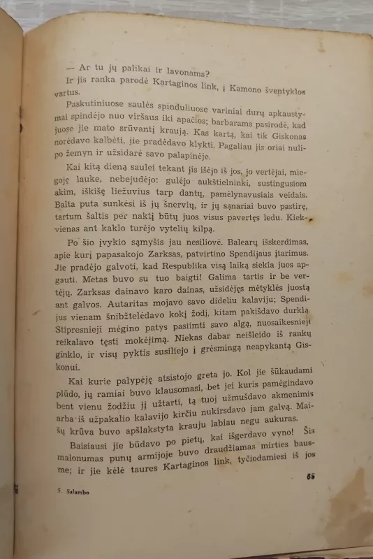 SALAMBO - Gustave Flaubert, knyga 6