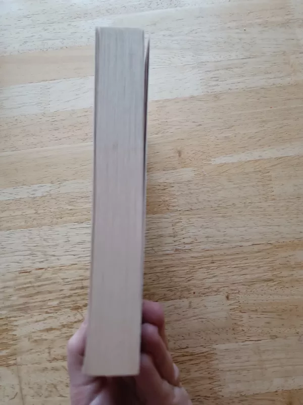 Friday's Child - Georgette Heyer, knyga 4