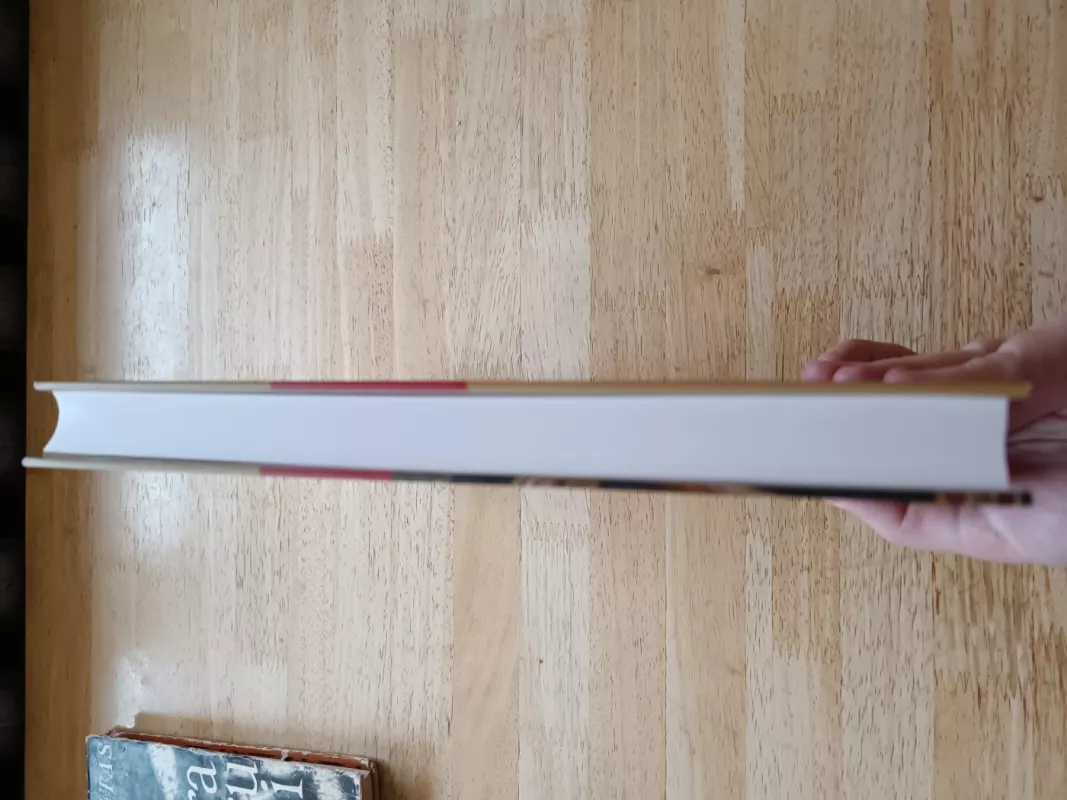 lietuva ir senoves egiptas - Aldona Snitkuvienė, knyga 4