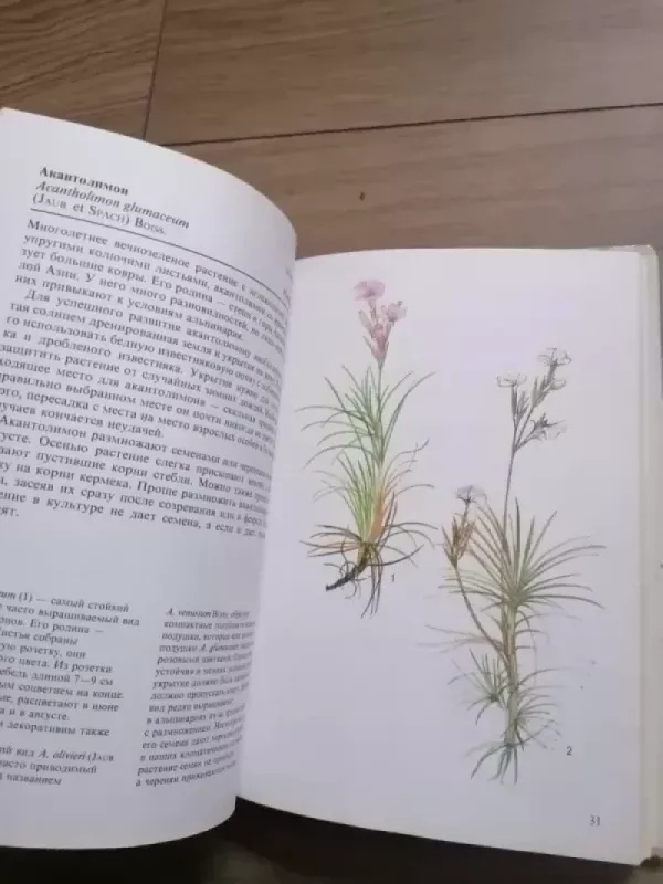 Alpinarij - Vodichkova V., knyga 6