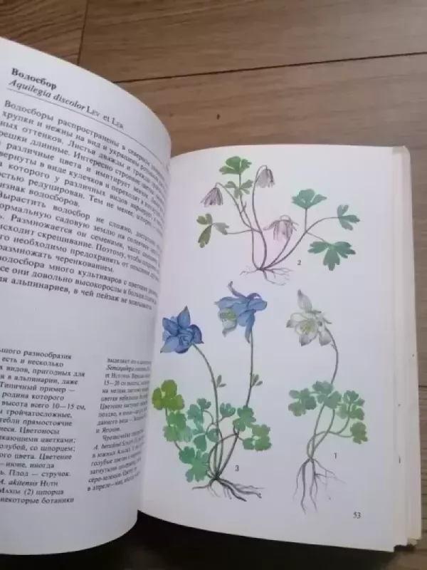 Alpinarij - Vodichkova V., knyga 5