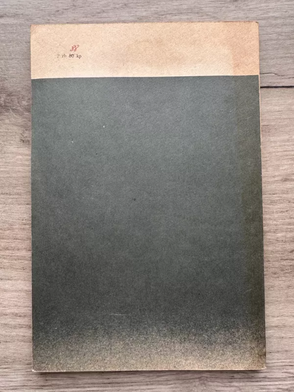 Žmogus dėžė - Kobas Abė, knyga 6