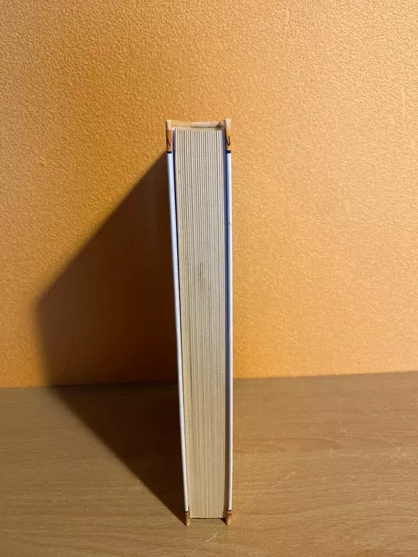 Žiedų valdovas. Dvi tvirtovės 2014 - J. R. R. Tolkien, knyga 4