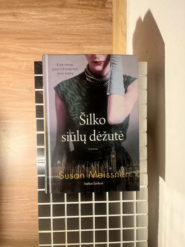 Šilko siūlų dėžutė - Susan Meissner, knyga 2