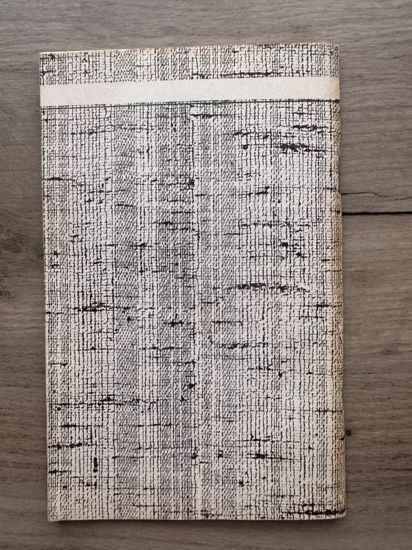 Didysis Poltergeistas - Vytautas Kazlauskas, knyga 5