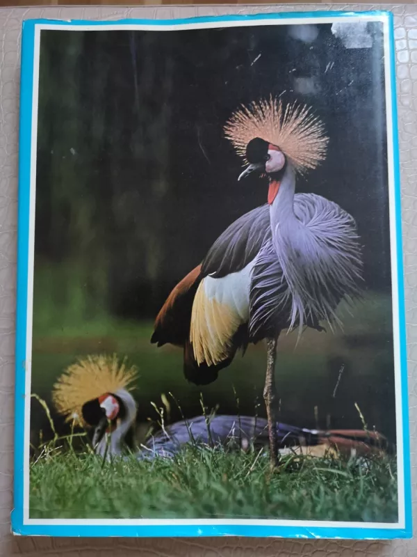 The treasury of Birds - Autorių kolektyvas, knyga 3