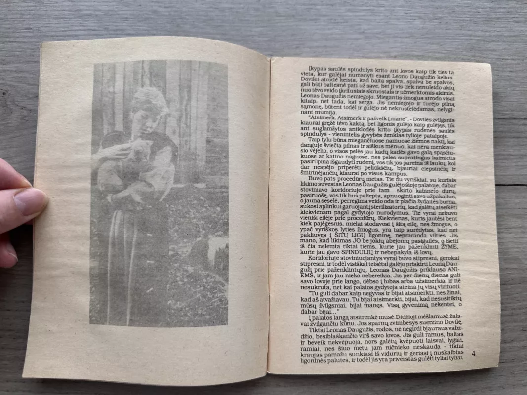 Rudens dienos užkalbėjimas - Violeta Šoblinskaitė Aleksa, knyga 4