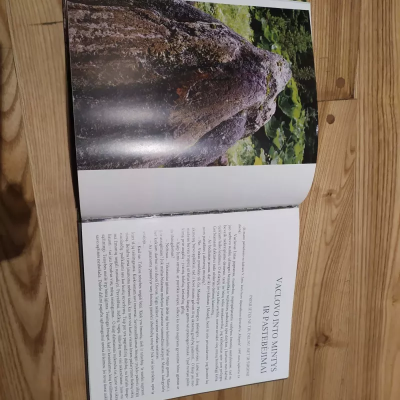 Amžinybės portretai. Daktaro Vaclovo Into pasaulis - A.Dorongauskas, E.Untulis, knyga 4