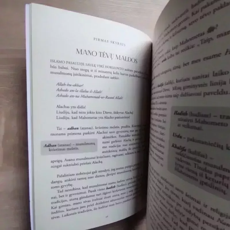 Ieškojau Alacho, suradau Jėzų. Pamaldus musulmonas susitinka su krikščionybe - Nabeel Qureshi, knyga 4