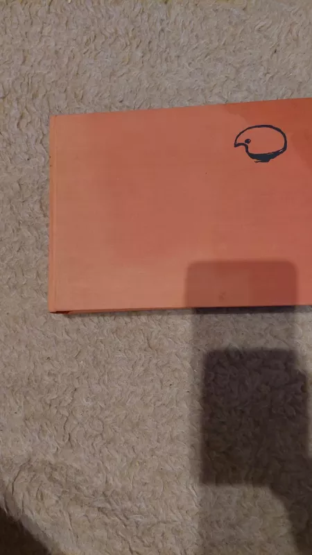 Van Gogas. Laiškai - Van Gogas, knyga 3