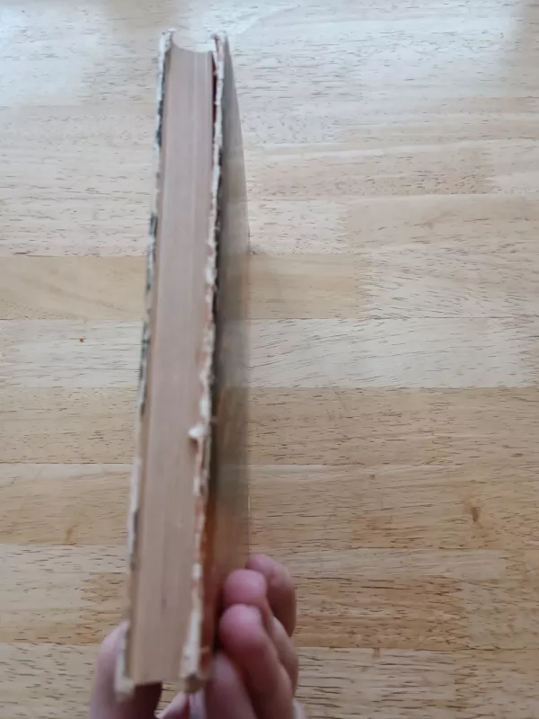 Pragiedruliai II dalis - J.T. Vaižgantas, knyga 5