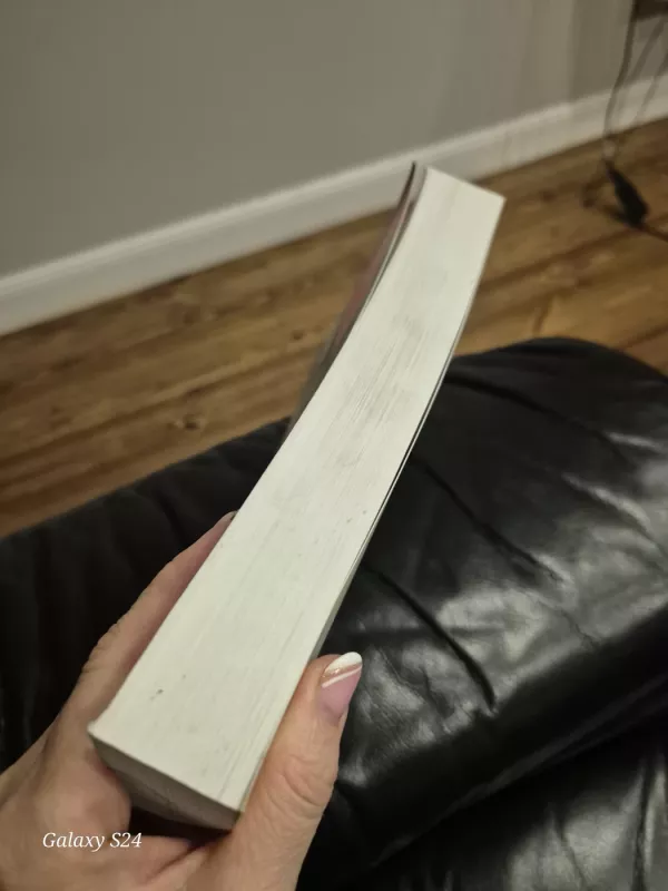 Meno istorija - Ernst H. Gombrich, knyga 6