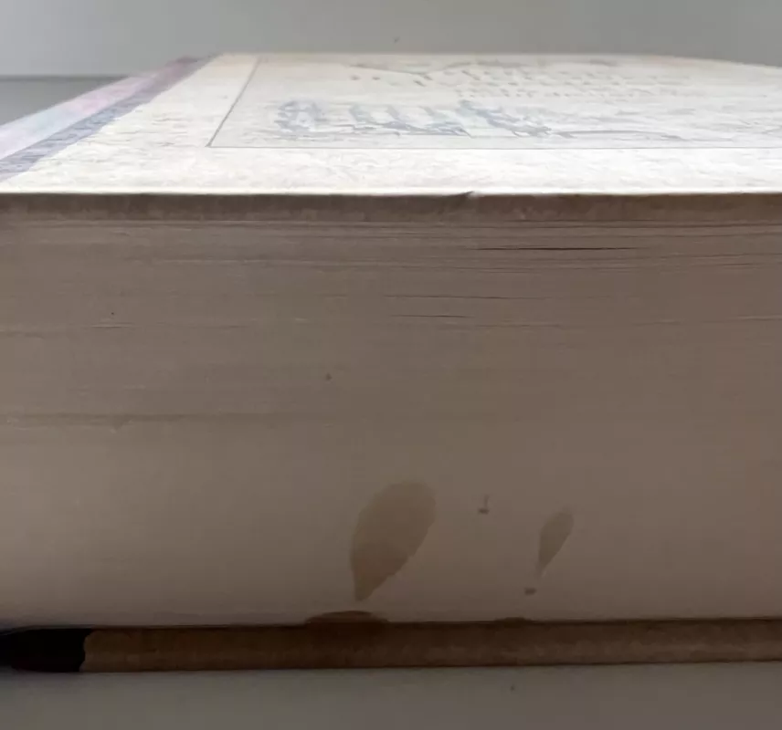 Vilniuje ir Lietuvos dvaruose: 1815-1843 metų dienoraštis - Gabrielė Giunterytė-Puzinienė, knyga 4