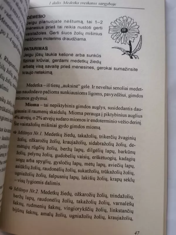 Medetkos prieš 100 ligų - Nadežda Stogova, knyga 5