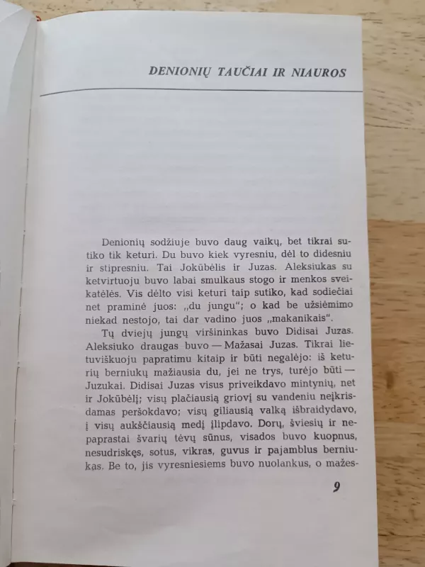 Pragiedruliai II dalis - J.T. Vaižgantas, knyga 3