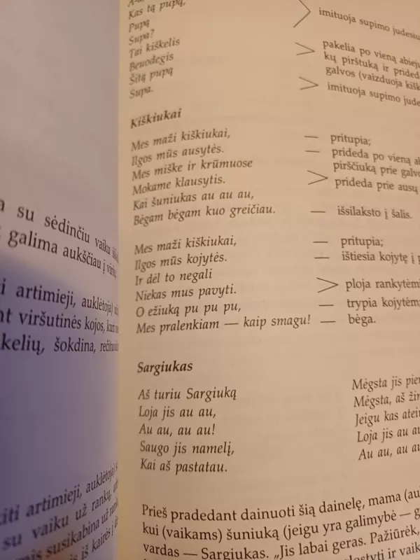 Mažylių žaidimai - Nijolė Grinevičienė, knyga 6