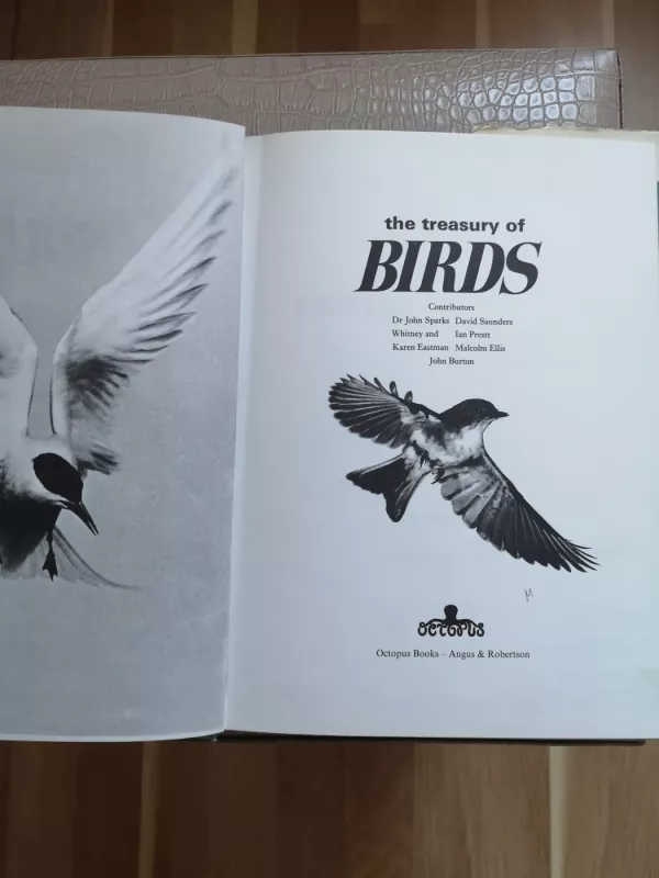 The treasury of Birds - Autorių kolektyvas, knyga 6